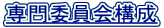 ψ\